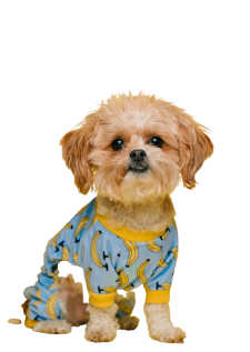 pet